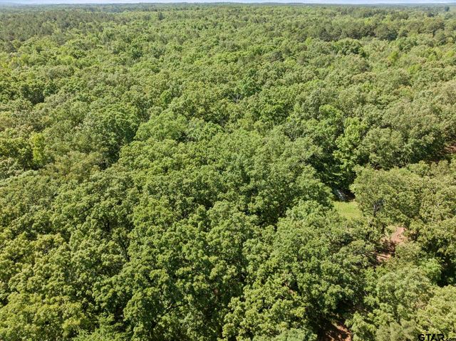 307 Fish Trap Ln, Naples, TX 75568