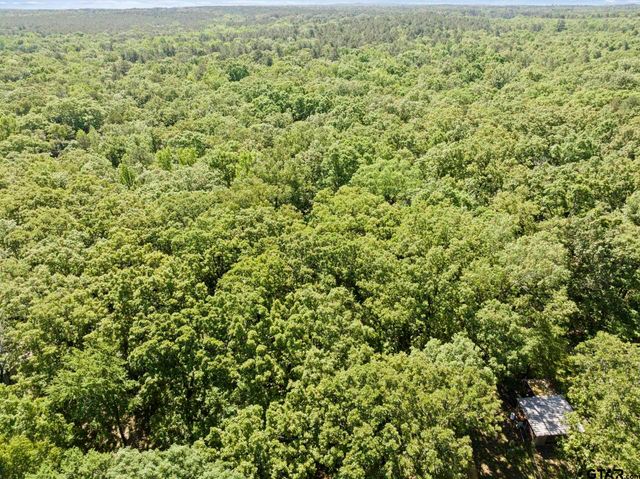 307 Fish Trap Ln, Naples, TX 75568