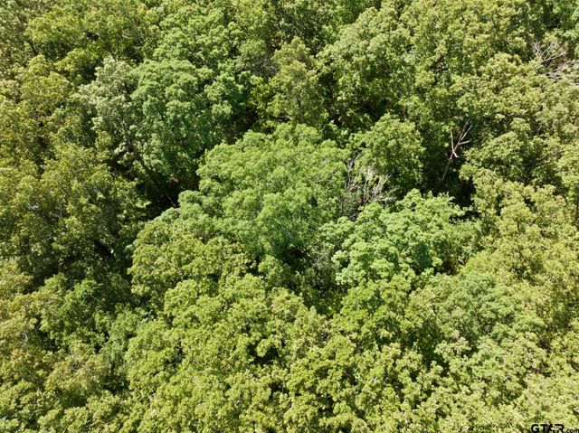 307 Fish Trap Ln, Naples, TX 75568