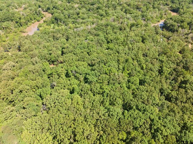 307 Fish Trap Ln, Naples, TX 75568