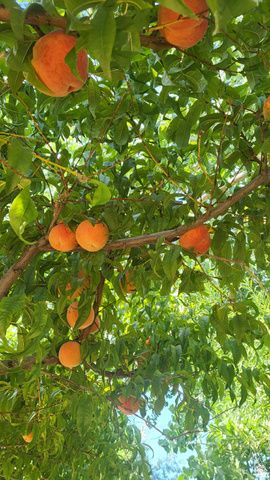 790 W 1000 S, Huntington, UT 84528