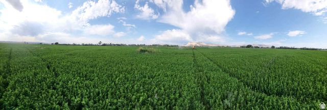 790 W 1000 S, Huntington, UT 84528