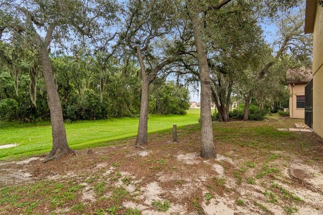 9311 HAAS DRIVE, Hudson, FL 34669