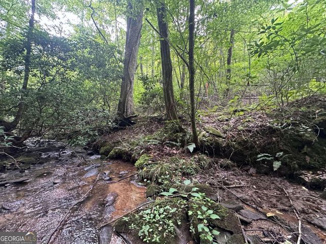 LOT 40 Wolf Creek Estates, Mineral Bluff, GA 30559