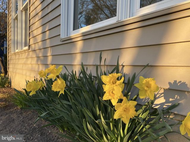 47 ARBOR DR, Myerstown, PA 17067