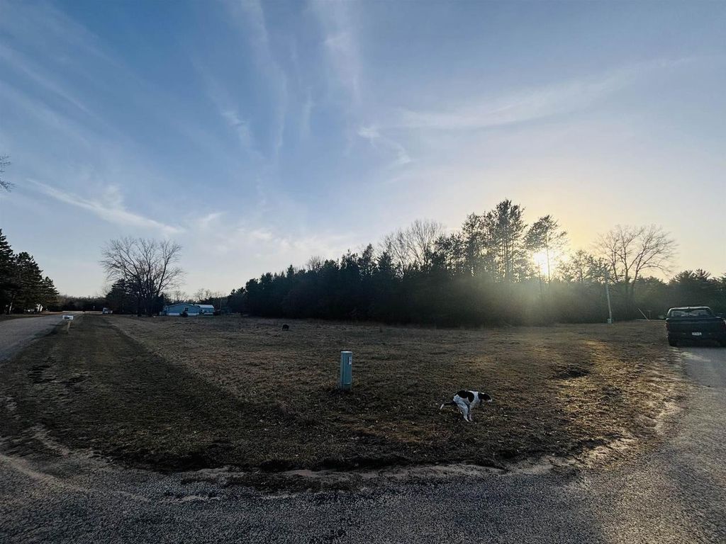 000 Birch Drive, Adams, WI 53910
