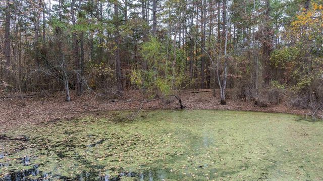 2207 Evening Shade Drive, Evening Shade, AR 72532