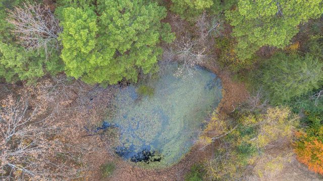 2207 Evening Shade Drive, Evening Shade, AR 72532