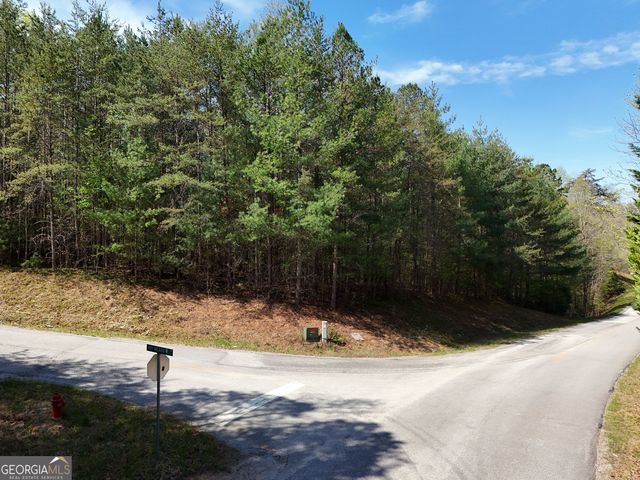 LOT 40 Ivy Meadow Lane, Blairsville, GA 30512