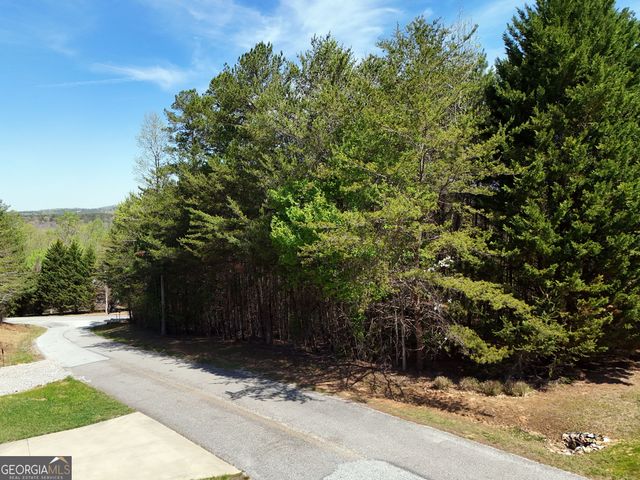 LOT 40 Ivy Meadow Lane, Blairsville, GA 30512