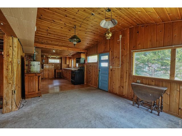 545 Eldorado Ave, Nederland, CO 80466