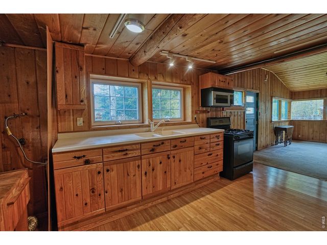 545 Eldorado Ave, Nederland, CO 80466