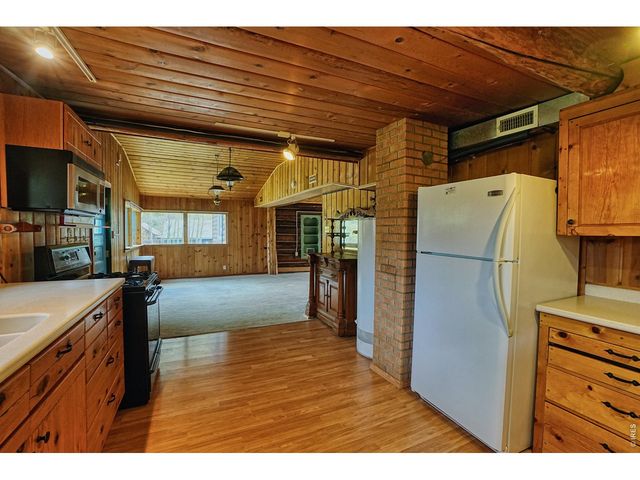 545 Eldorado Ave, Nederland, CO 80466