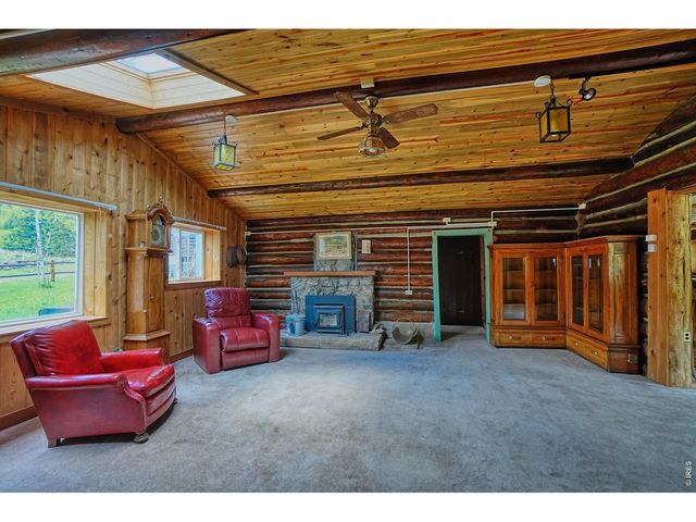 545 Eldorado Ave, Nederland, CO 80466
