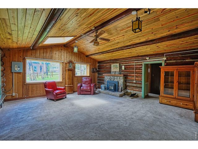 545 Eldorado Ave, Nederland, CO 80466