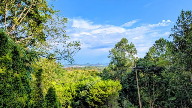 335 Turkey Creek Hwy, Carthage, TN 37030