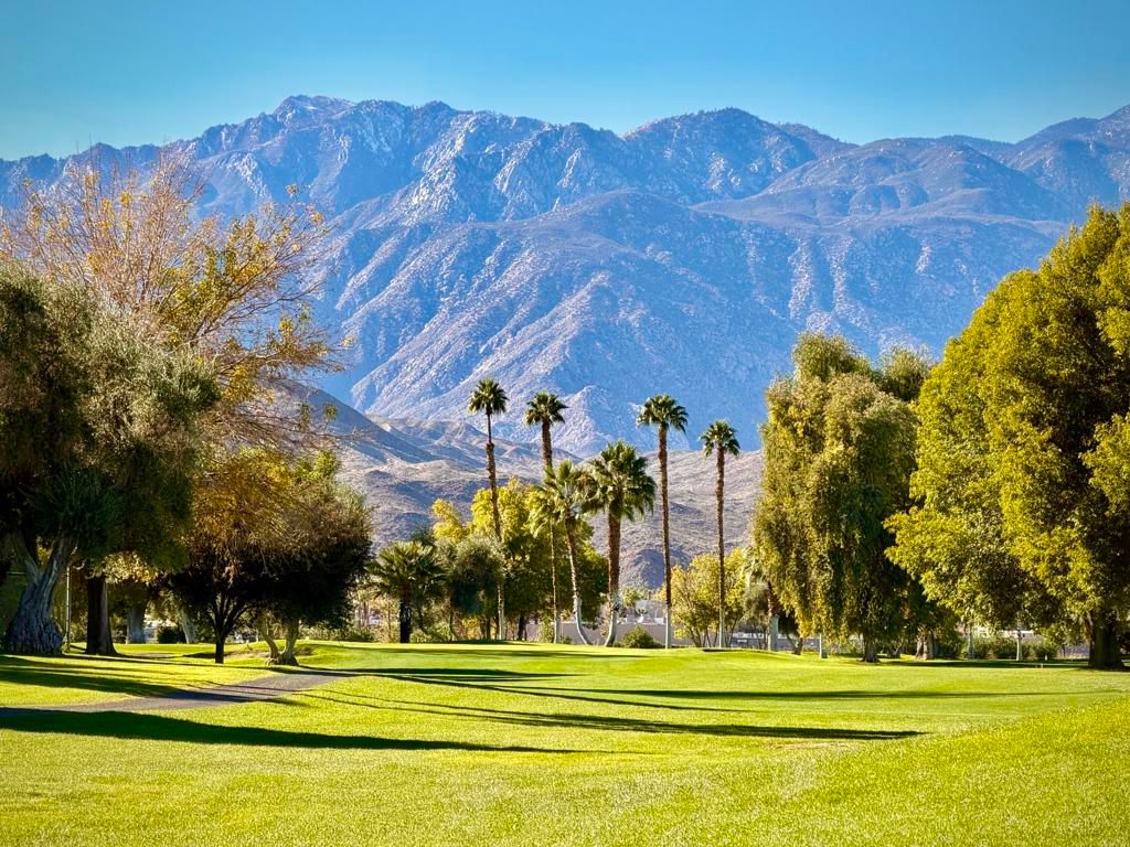 Image 49 of property listing at 310 Via Don Benito, Cathedral City, CA 92234