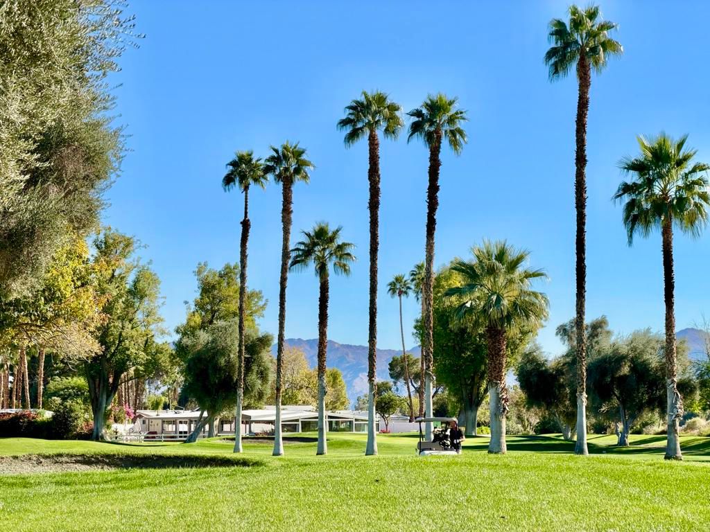 Image 53 of property listing at 310 Via Don Benito, Cathedral City, CA 92234