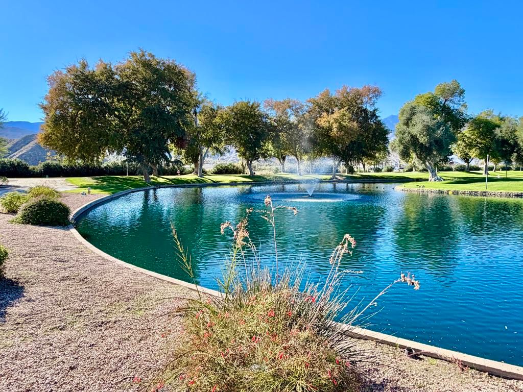 Image 54 of property listing at 310 Via Don Benito, Cathedral City, CA 92234