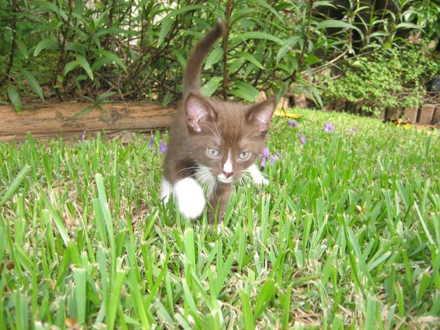 5980 SHORE BOULEVARD S 111, Gulfport, FL 33707