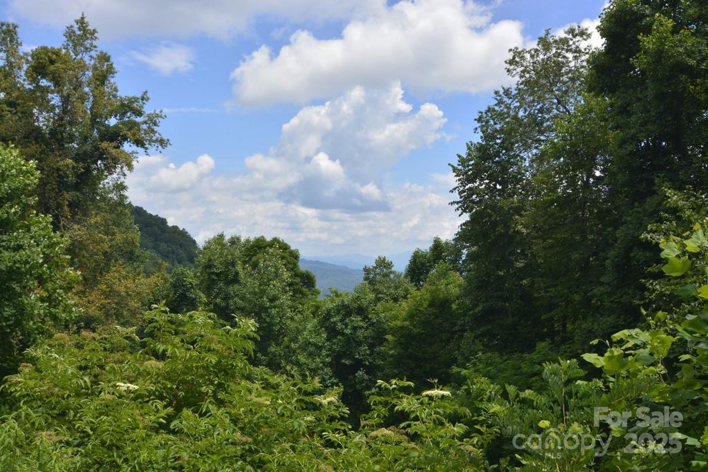 999 Red Wolf Run 48, Mars Hill, NC 28754