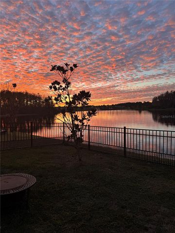 16111 WEATHERED WINDMILL TERRACE, Odessa, FL 33556