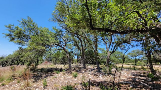 615 Crossman, Fischer, TX 78623