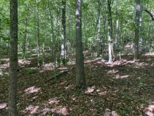 NC 7540, Deer, AR 72628