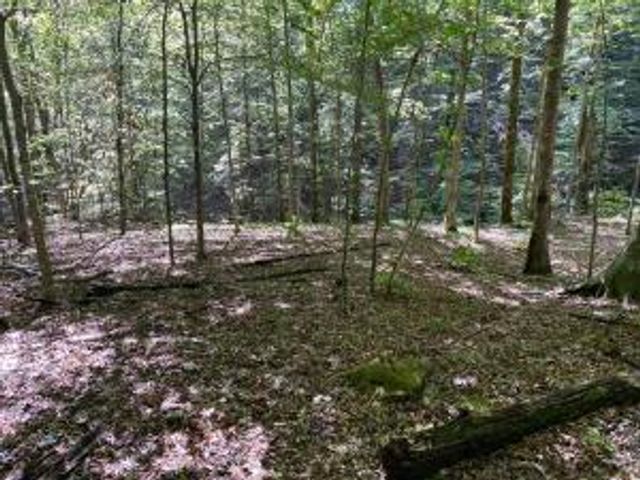 NC 7540, Deer, AR 72628