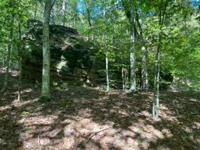 NC 7540, Deer, AR 72628