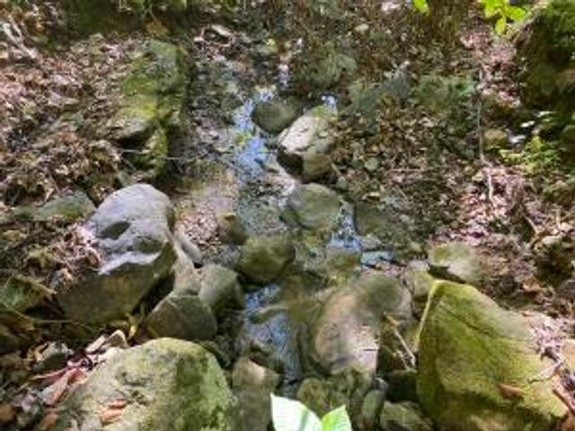 NC 7540, Deer, AR 72628