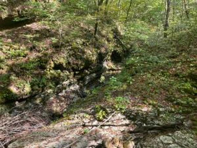 NC 7540, Deer, AR 72628