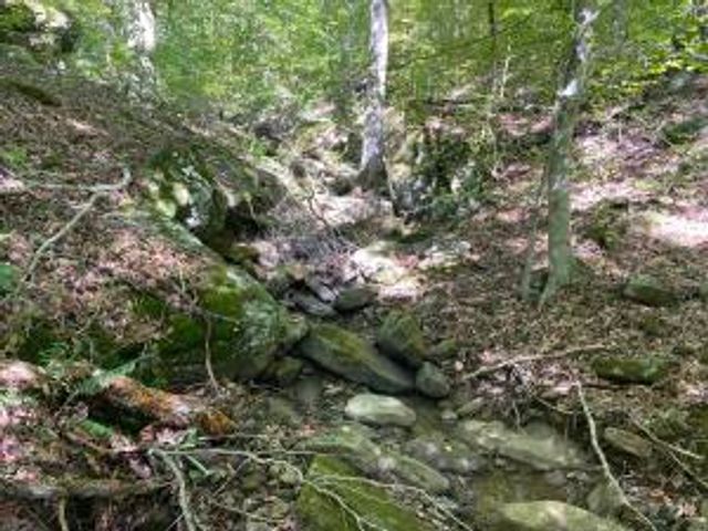 NC 7540, Deer, AR 72628