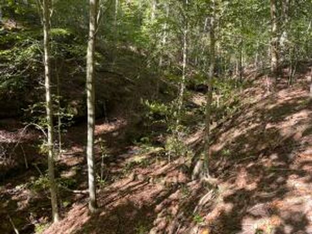 NC 7540, Deer, AR 72628