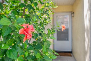 3960 A1A S #520, St Augustine, FL 32080