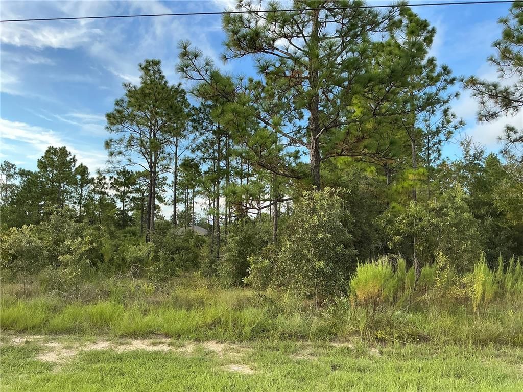 0 CALYPSO AVENUE, Brooksville, FL 34614