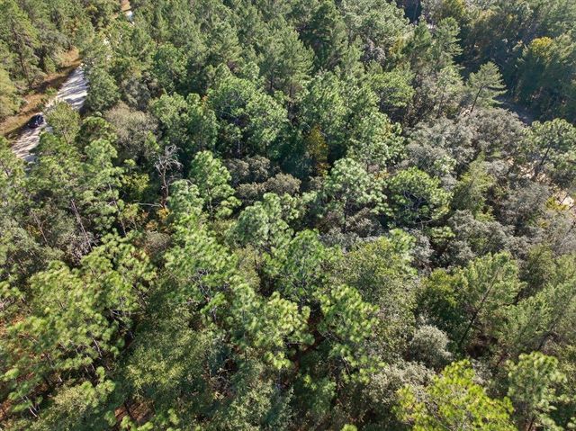 Usina Ave, Interlachen, FL 32148