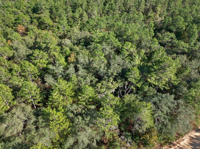 Usina Ave, Interlachen, FL 32148