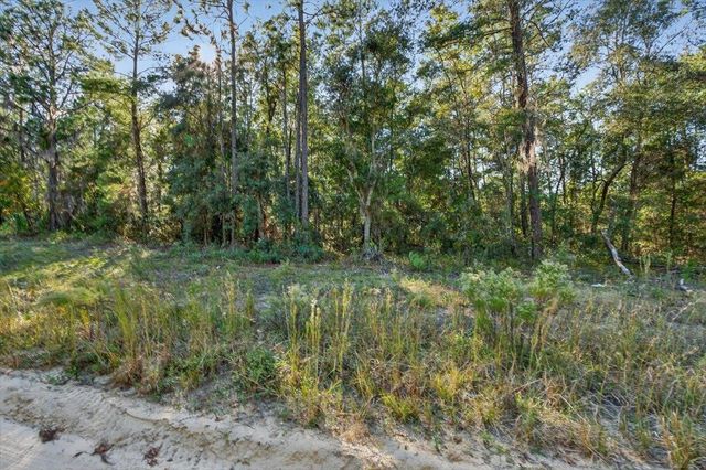 Usina Ave, Interlachen, FL 32148