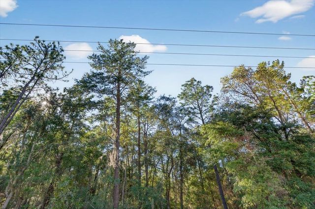 Usina Ave, Interlachen, FL 32148