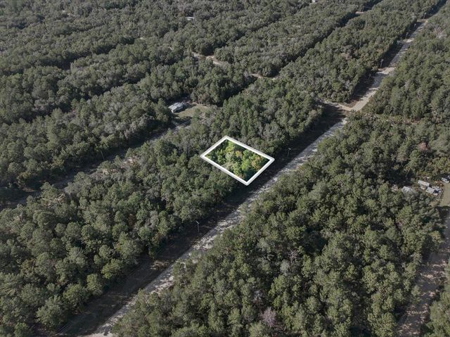 Usina Ave, Interlachen, FL 32148