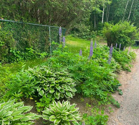 28 Washington Avenue, Bartlett, NH 03845