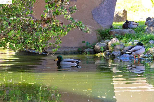 1311 Webster St E316, Alameda, CA 94501