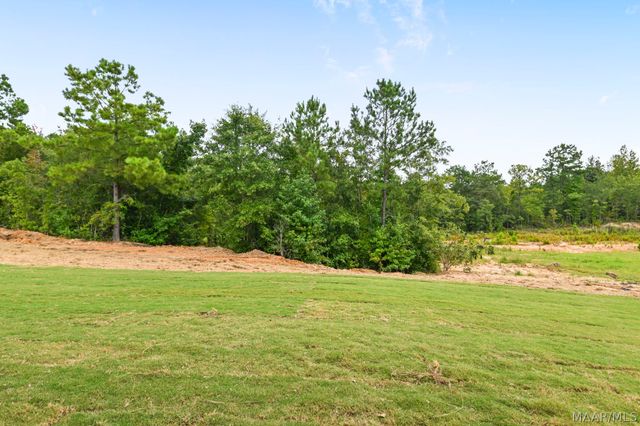 134 Madix Drive, Eclectic, AL 36024