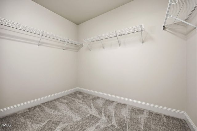 504 Bouree Circle, Raleigh, NC 27606