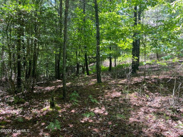 0 River Mountain Road, Murphy, NC 28906