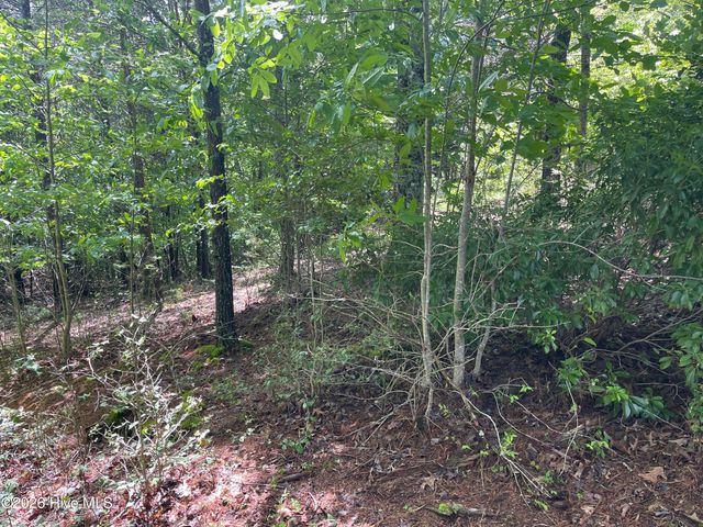 0 River Mountain Road, Murphy, NC 28906