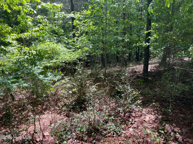 0 River Mountain Road, Murphy, NC 28906