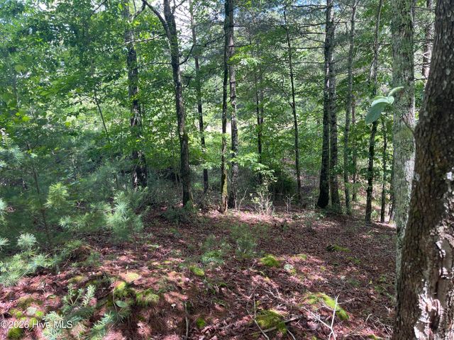 0 River Mountain Road, Murphy, NC 28906