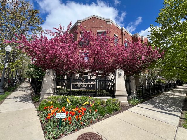 834 W Village Court, Chicago, IL 60608